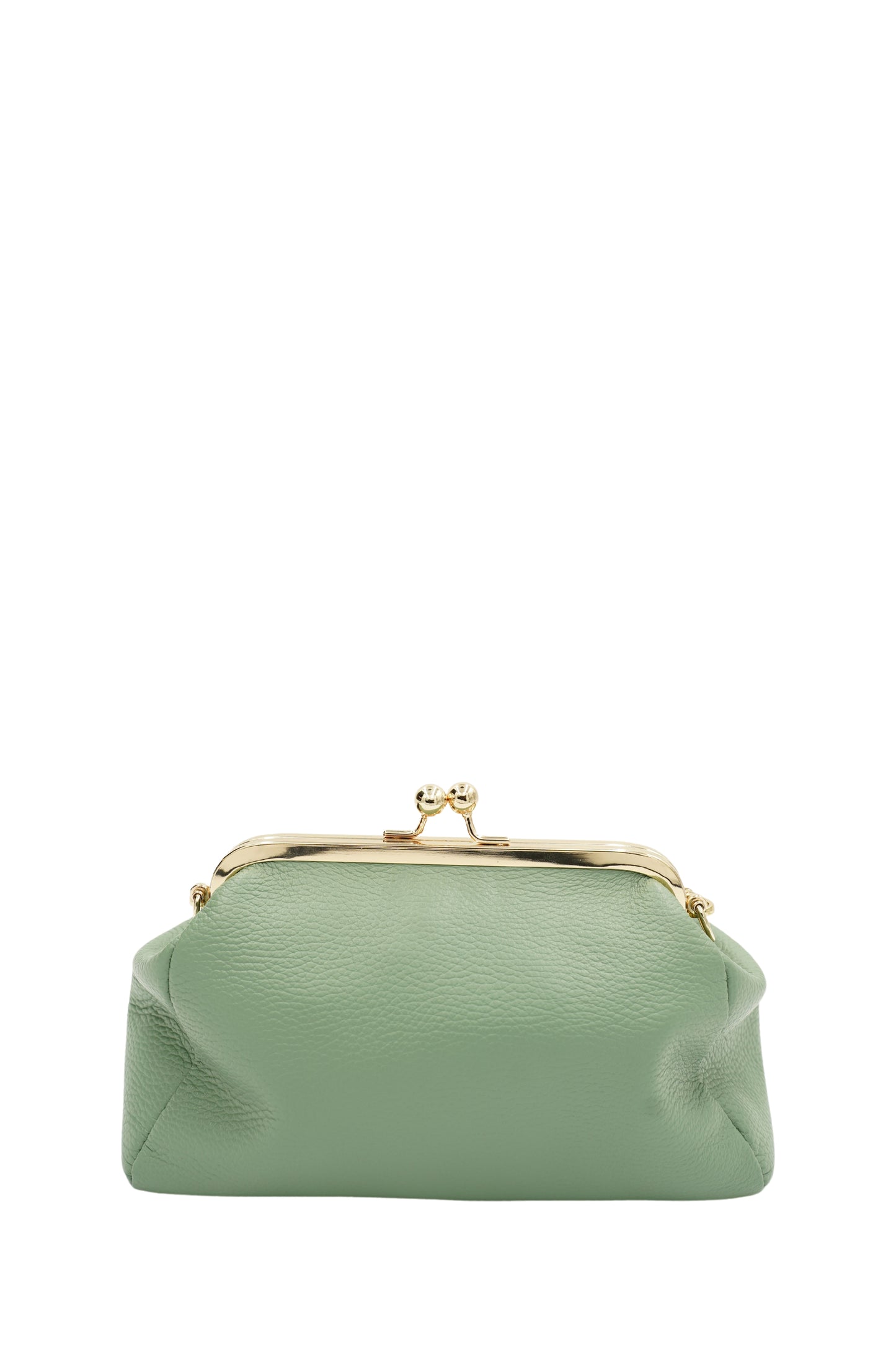 Mini Virgina Bag Dollaro in Pistacchio Mint Green